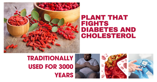 The Rising Tide of Blood Sugar and Cholesterol Diseases in the US