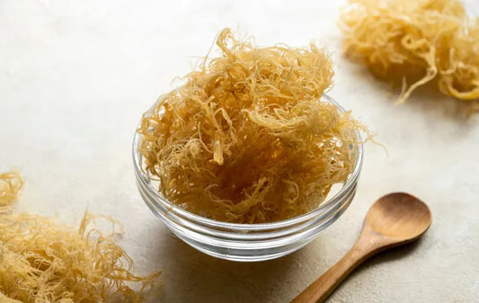 Unveiling the Wonders of Sea Moss: A Nutritional Powerhouse