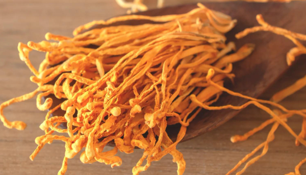 Cordyceps Mushroom: Nature's Healing Treasure